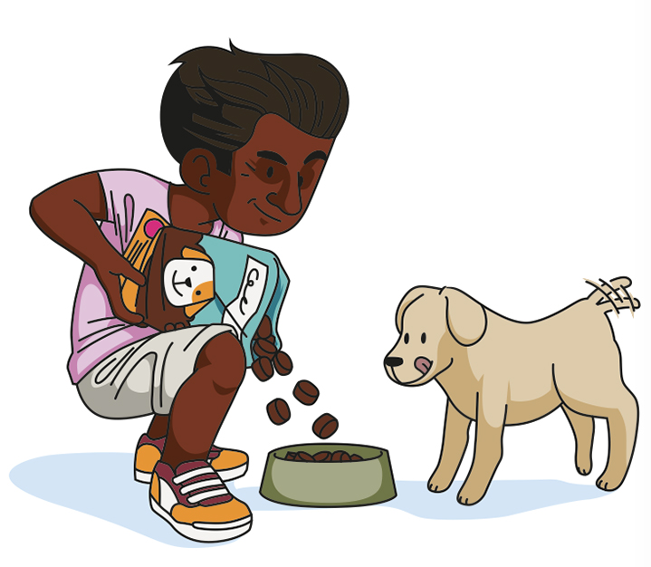diana petfood-illustration-croquette-chien